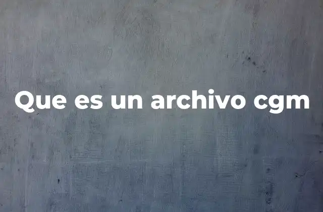 Que es un Archivo Cgm