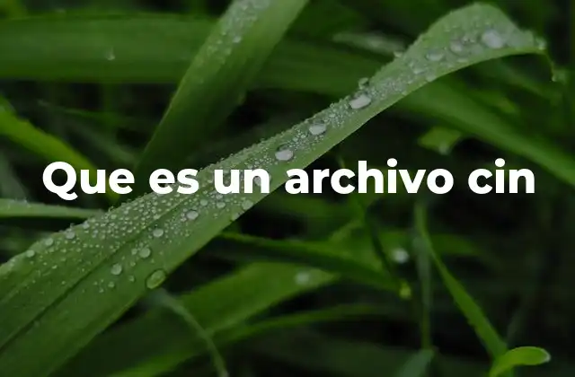 El papel del archivo cin en la producción audiovisual
