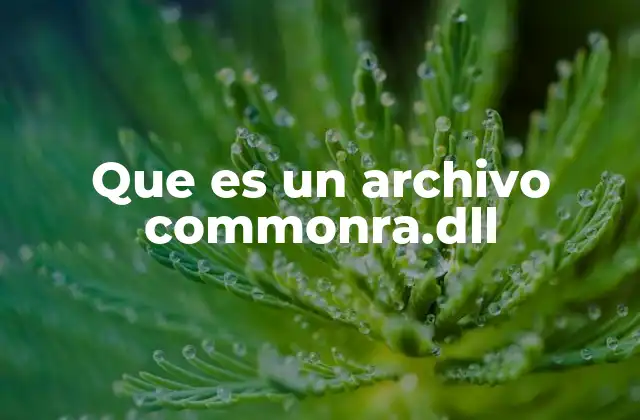 Que es un Archivo Commonra.dll