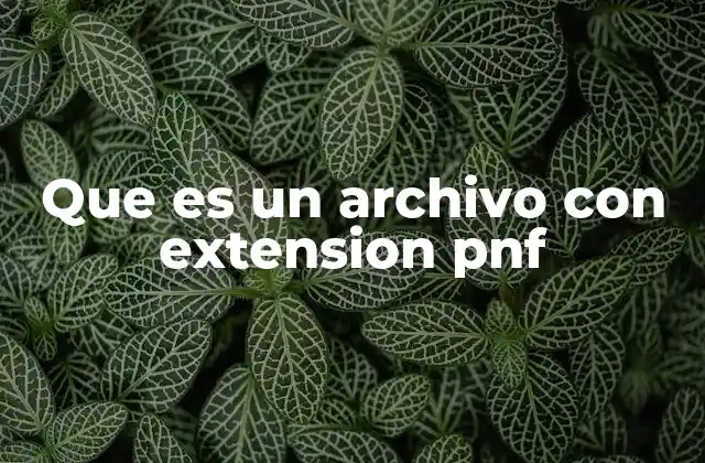 Que es un Archivo con Extension Pnf