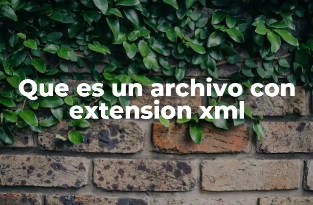 Que es un Archivo con Extension Xml