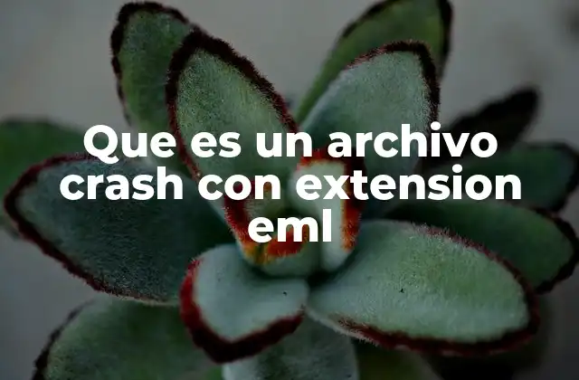 Que es un Archivo Crash con Extension Eml