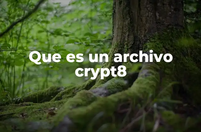 Que es un Archivo Crypt8