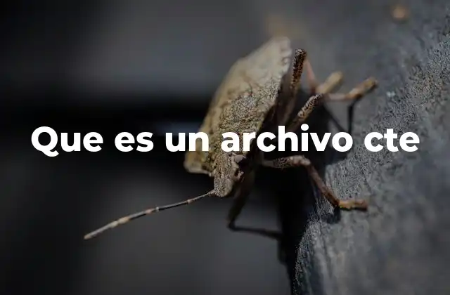 Que es un Archivo Cte