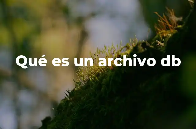 Qué es un Archivo Db