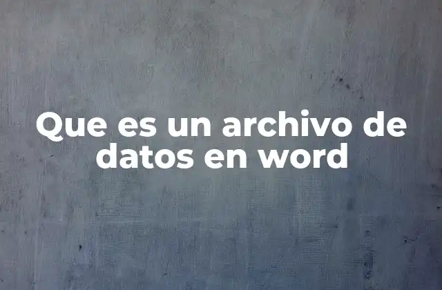 Que es un Archivo de Datos en Word