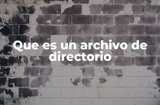 Que es un Archivo de Directorio