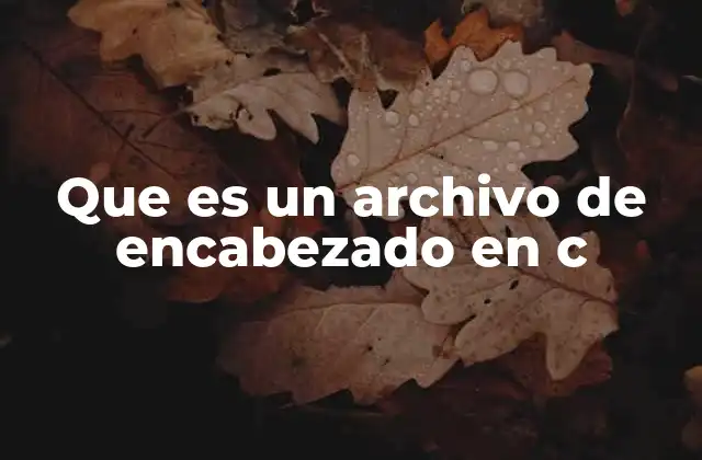 Que es un Archivo de Encabezado en C