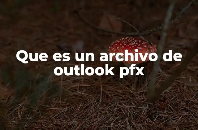 Que es un Archivo de Outlook Pfx