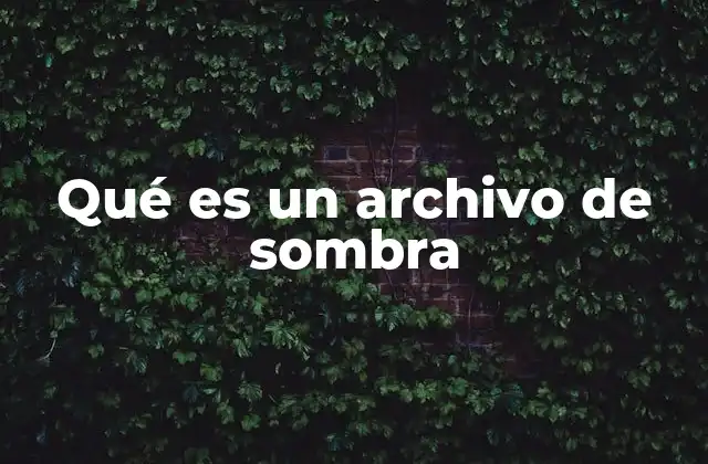 Qué es un Archivo de Sombra 2 Cómo funcionan los archivos de sombra