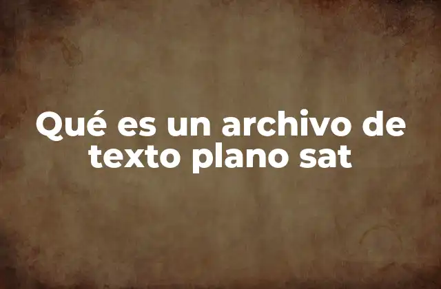 Qué es un Archivo de Texto Plano Sat