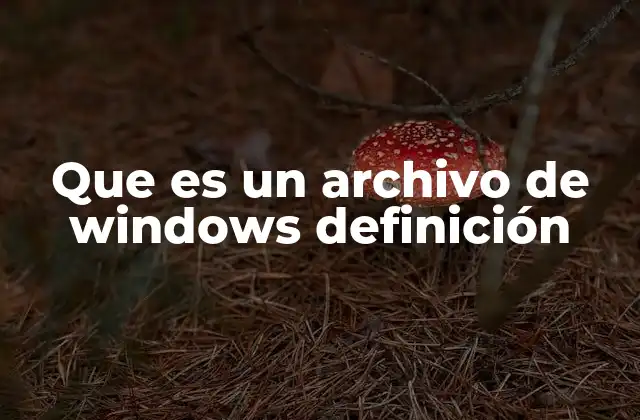 Que es un Archivo de Windows Definición 2 La estructura básica de los archivos en Windows