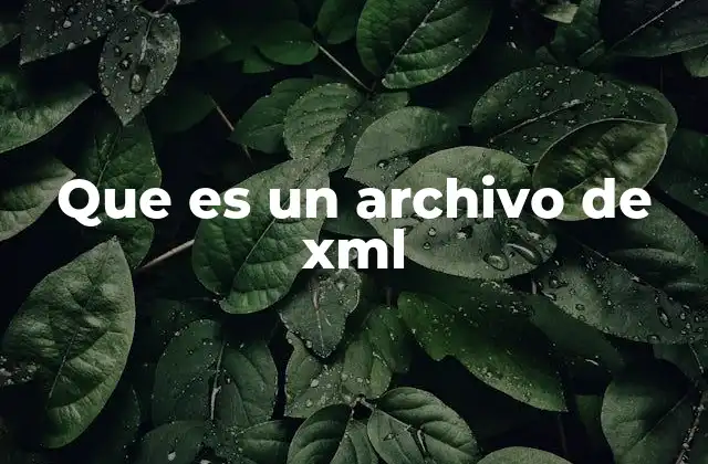 Que es un Archivo de Xml