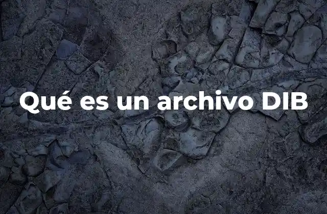 Qué es un Archivo Dib