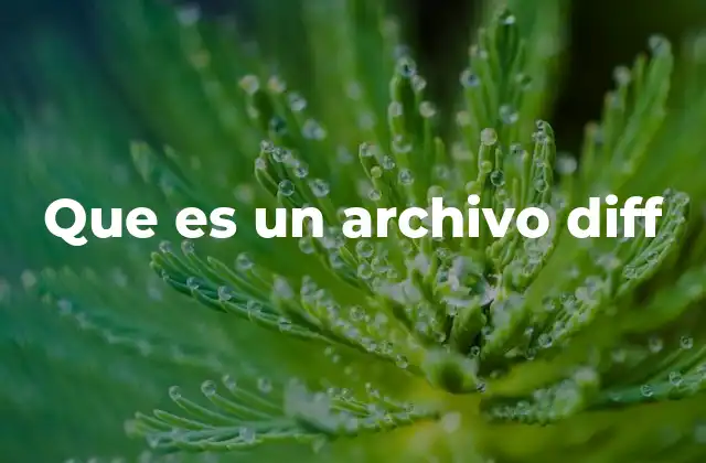 Que es un Archivo Diff