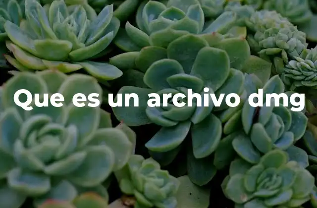 Que es un Archivo Dmg