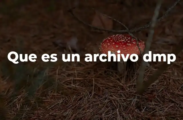 Que es un Archivo Dmp