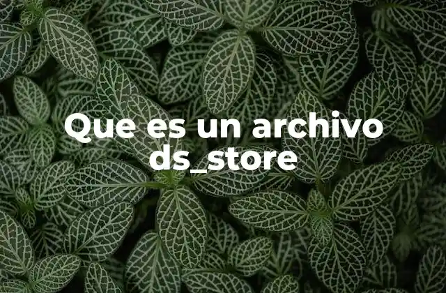 Que es un Archivo Ds_store