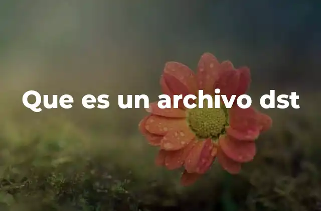 Que es un Archivo Dst