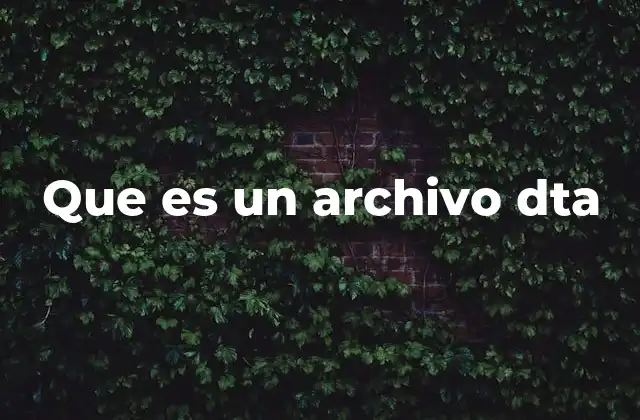 Que es un Archivo Dta