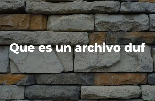 Que es un Archivo Duf