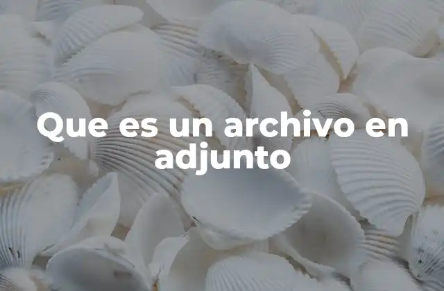 Que es un Archivo en Adjunto