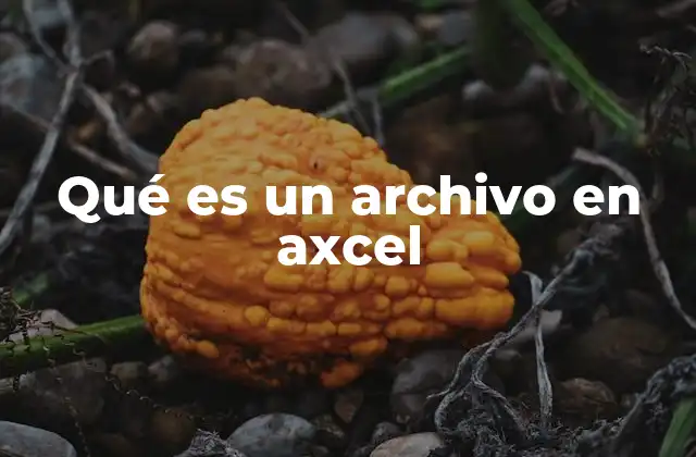 Qué es un Archivo en Axcel