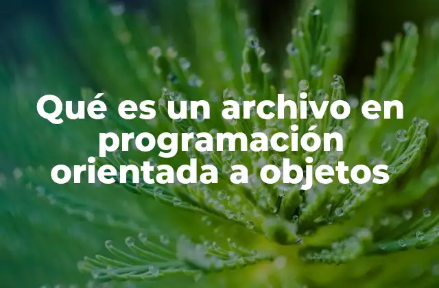 Qué es un Archivo en Programación Orientada a Objetos 2 La relación entre archivos y clases en POO