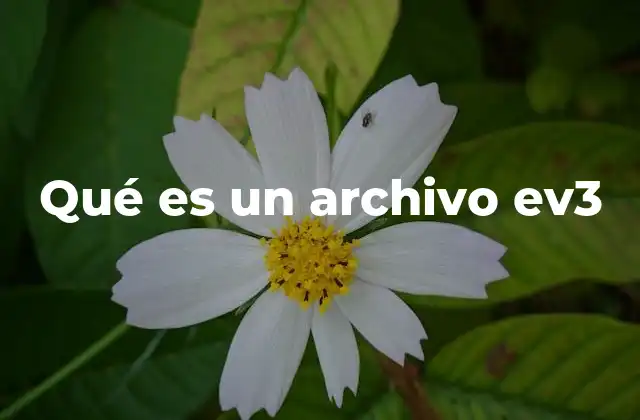 Qué es un Archivo Ev3