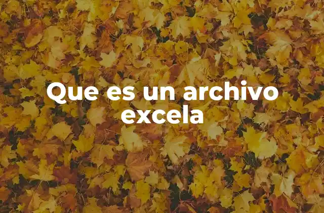 Que es un Archivo Excela