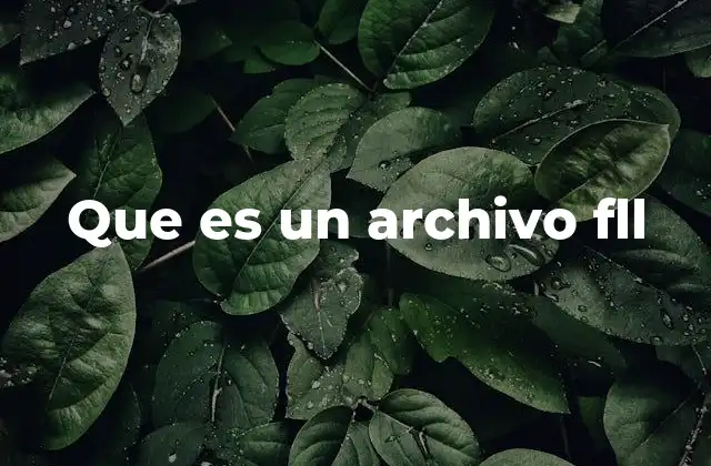 Que es un Archivo Fll
