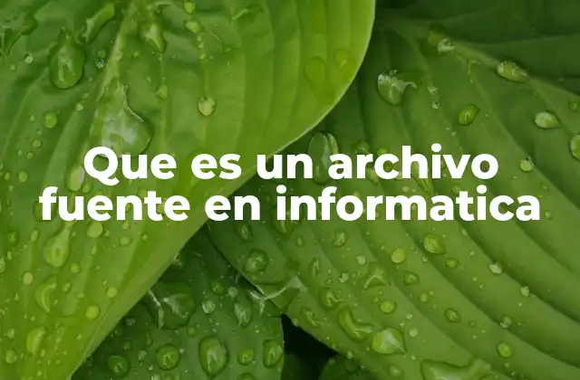 Que es un Archivo Fuente en Informatica