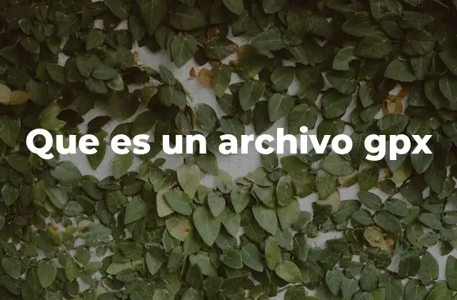 Que es un Archivo Gpx