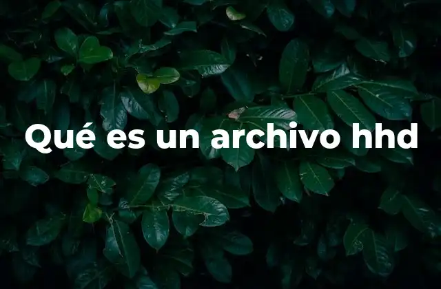 Cómo se genera un archivo hhd