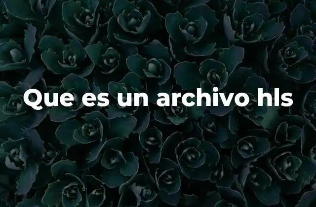 Que es un Archivo Hls