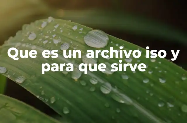 Que es un Archivo Iso y para que Sirve
