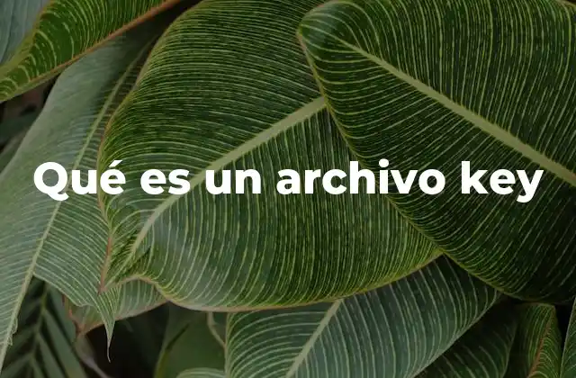 Qué es un Archivo Key