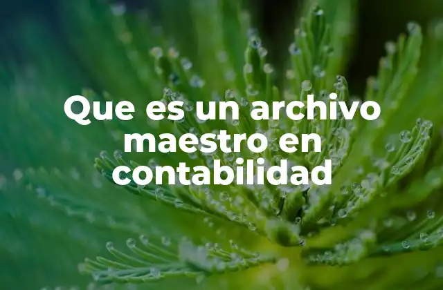 Que es un Archivo Maestro en Contabilidad