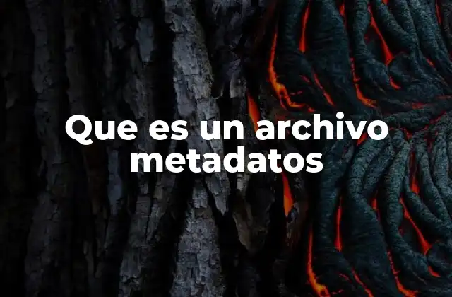 Que es un Archivo Metadatos