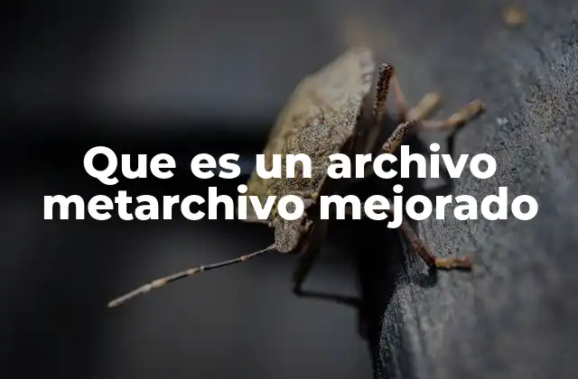 Que es un Archivo Metarchivo Mejorado