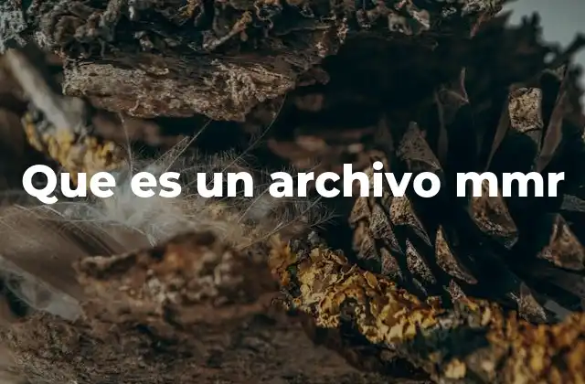 Que es un Archivo Mmr
