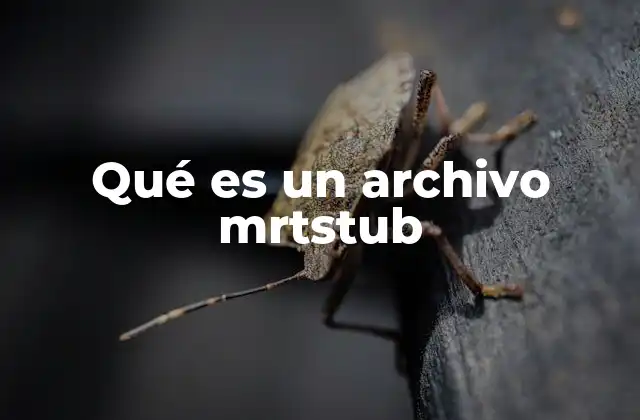 Qué es un Archivo Mrtstub