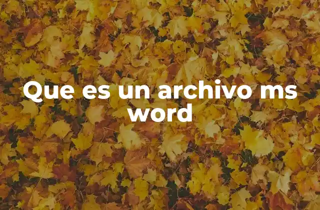 Que es un Archivo Ms Word