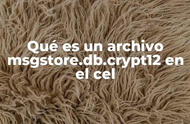 Cómo se genera el archivo msgstore.db.crypt12