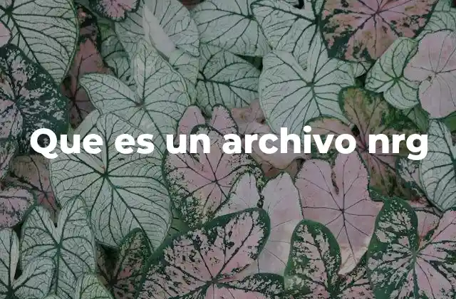 Que es un Archivo Nrg