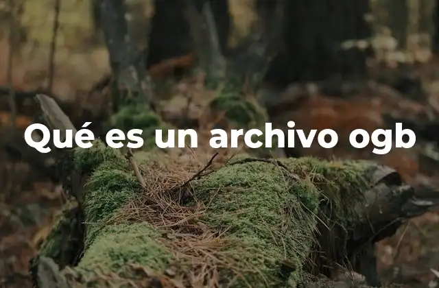 Qué es un Archivo Ogb