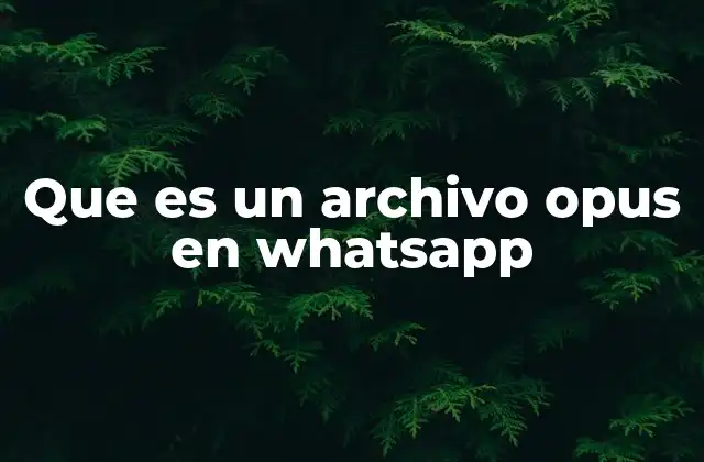 Que es un Archivo Opus en Whatsapp