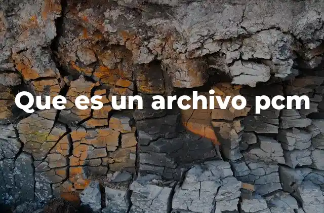 Que es un Archivo Pcm