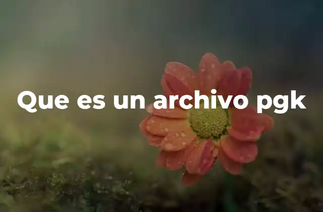 Que es un Archivo Pgk