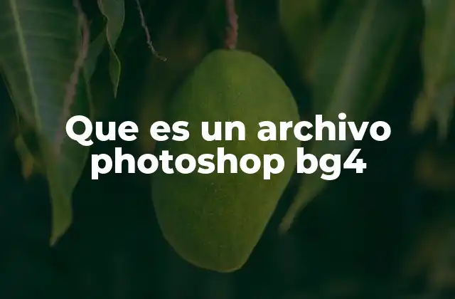 Que es un Archivo Photoshop Bg4